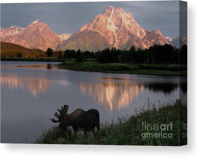 Grand Teton Canvas Print featuring the photograph Morning Tranquility by Sandra Bronstein