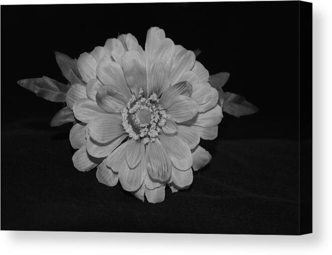 Black And White Canvas Print featuring the photograph Mothers Day Flower by Rob Hans