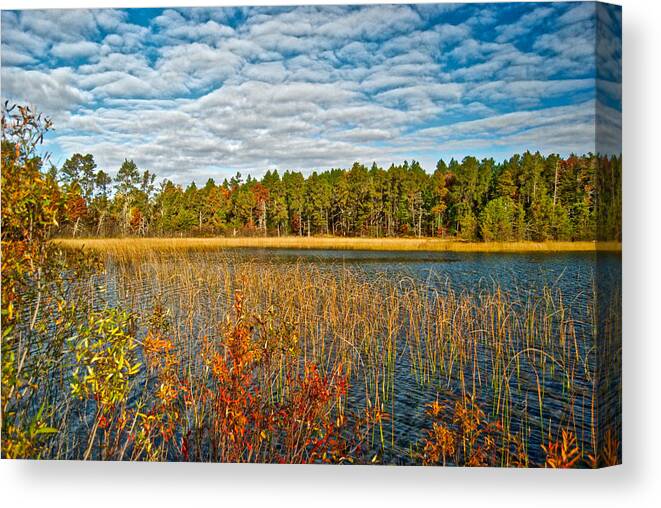 Muskrat Canvas Print featuring the photograph Muskrat Lake 308 by Michael Peychich