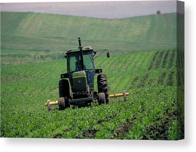 Tractor Canvas Print featuring the photograph My Big Green Tractor by Garry McMichael