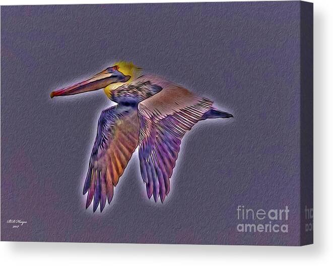 Brown Canvas Print featuring the digital art Mystical Brown Pelican Soaring Spirit by DB Hayes