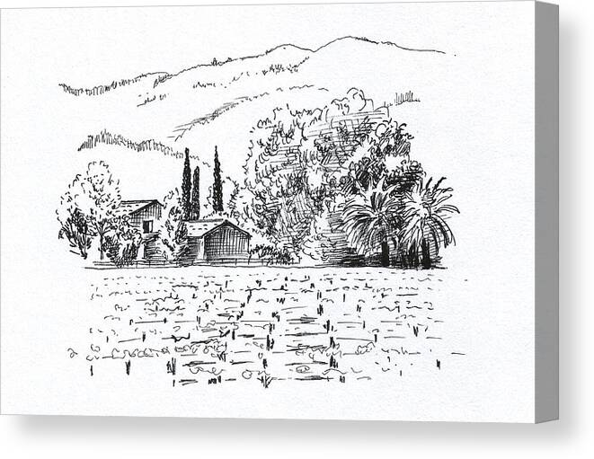 Landscape Canvas Print featuring the drawing Napa Valley by Masha Batkova