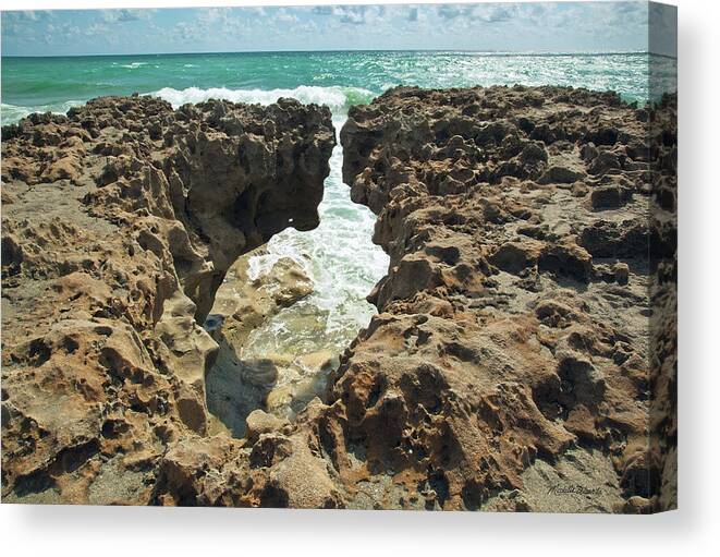 Rock Canvas Print featuring the photograph Natural Forces Blowing Rocks Preserve Jupiter Island Florida by Michelle Constantine