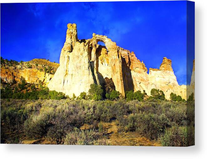 Ladscape Canvas Print featuring the photograph Near By by Marty Koch
