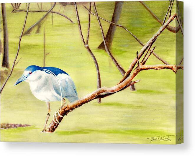 Night Heron Canvas Print featuring the painting Night Heron at Ravenswood by Thomas Hamm
