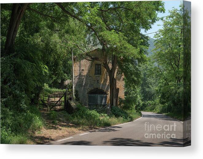 Bamboo Canvas Print featuring the photograph Ninfa Garden, Rome Italy 9 by Perry Rodriguez