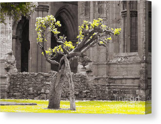 Ruins Of Abbey Canvas Print featuring the photograph Oblivion. Hope. by Elena Perelman