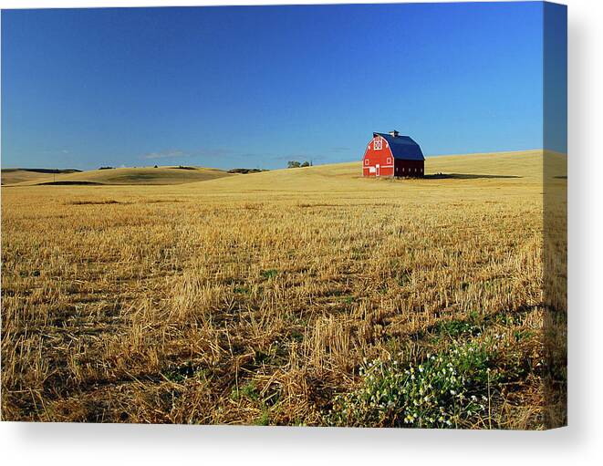 On The Palouse Canvas Print featuring the photograph On the Palouse by Ben Prepelka
