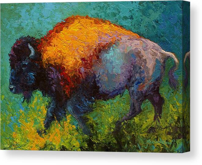 Bison Canvas Print featuring the painting On The Run by Marion Rose