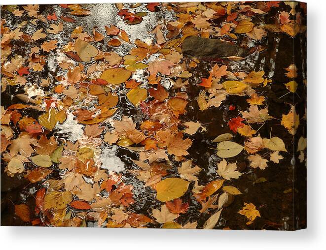 Nature Canvas Print featuring the photograph On the Water by Michael McGowan