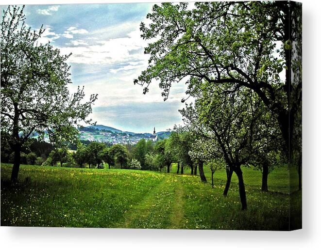 Europe Canvas Print featuring the photograph On the Way to Gramastetten ... by Juergen Weiss