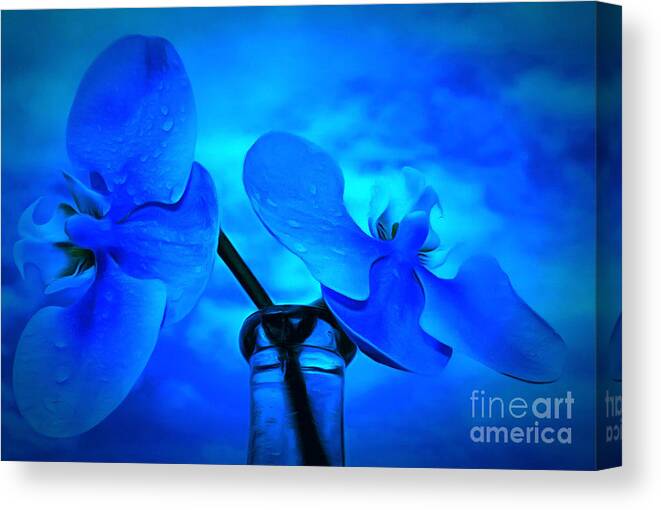 Orchids Canvas Print featuring the photograph Orchids Of Blue by Krissy Katsimbras