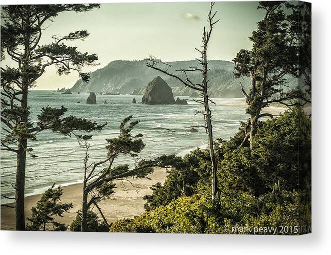 Oregan Coast Canvas Print featuring the photograph Oregon Coast at Sunset by Mark Peavy