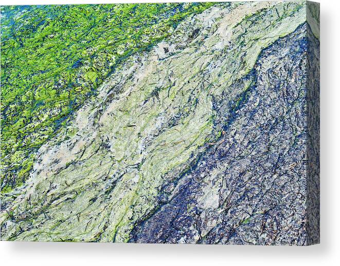 River Canvas Print featuring the photograph Organic Harmony by Jon Exley