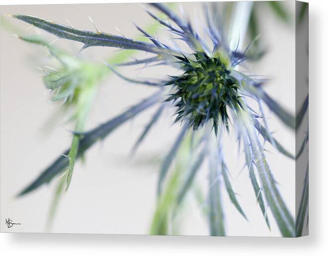 Floral Canvas Print featuring the photograph Outstretched by Mary Anne Delgado