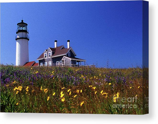 Lighthouses Canvas Print featuring the photograph Painted Highland Lighthouse Cape Cod by Skip Willits