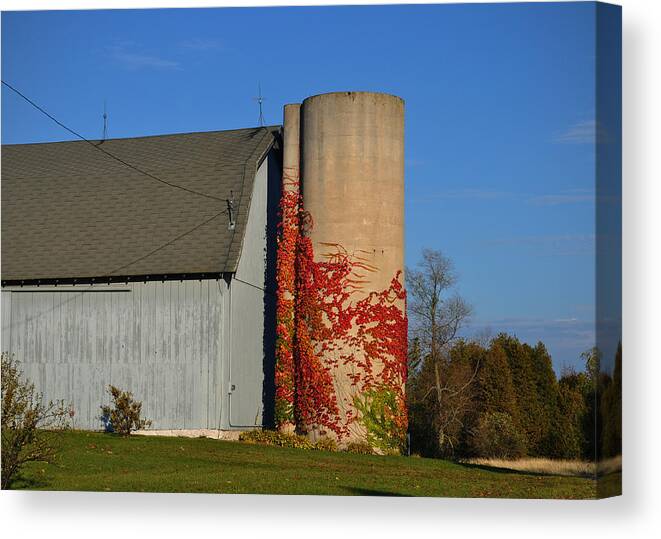 Fall Canvas Print featuring the photograph Painted Silo by Tim Nyberg
