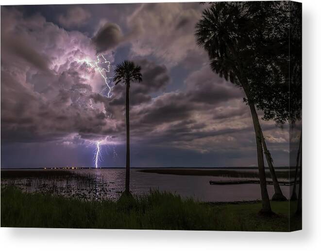 Lightning Canvas Print featuring the photograph Palm Tree And Lightning by Justin Battles