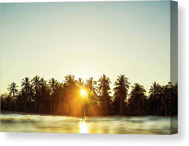 Surfing Canvas Print featuring the photograph Palms And Rays by Nik West