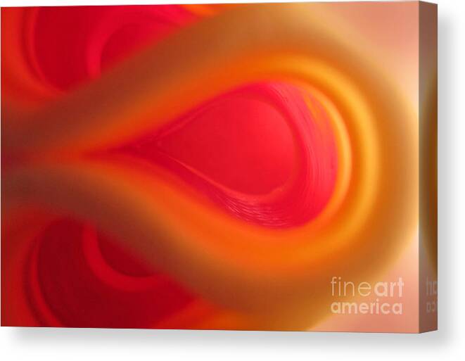 Passion Canvas Print featuring the photograph Passion Abstract 01 by Ausra Huntington nee Paulauskaite