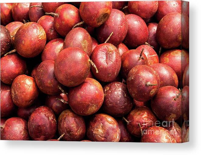 Fresh Canvas Print featuring the photograph Passionfruit 01 by Rick Piper Photography