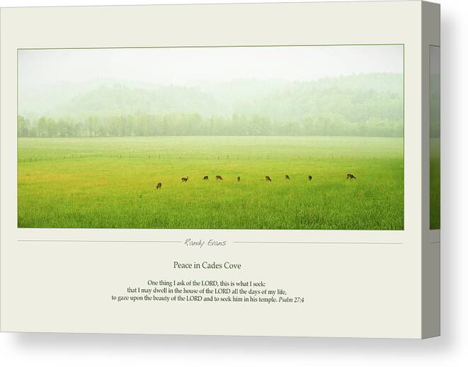 Peace Canvas Print featuring the photograph Peace In Cades Cove by Randall Evans