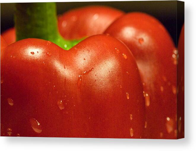Pepper Canvas Print featuring the photograph Pepper by Karen Smale