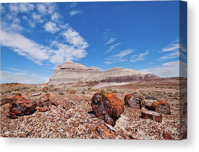 Arid Climate Canvas Print featuring the photograph Petrified Logs at Crystal Forest by Jeff Goulden