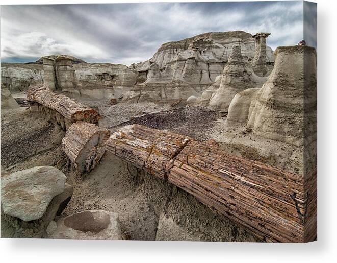 Southwest Usa Canvas Print featuring the photograph Petrified Remains by Alan Toepfer