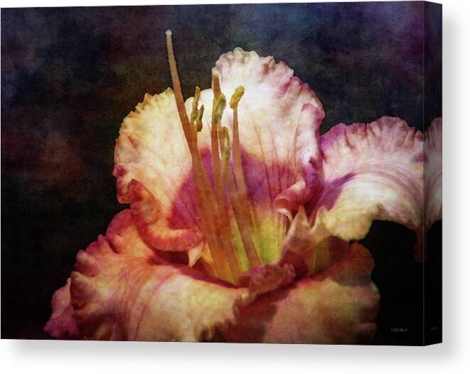 Impressionist Canvas Print featuring the photograph Pink Heart 2636 IDP_2 by Steven Ward