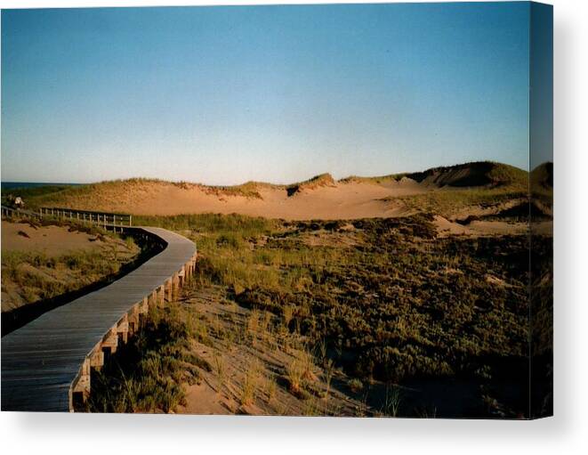 Island Canvas Print featuring the photograph Plum Island Dunes by Robert Nickologianis