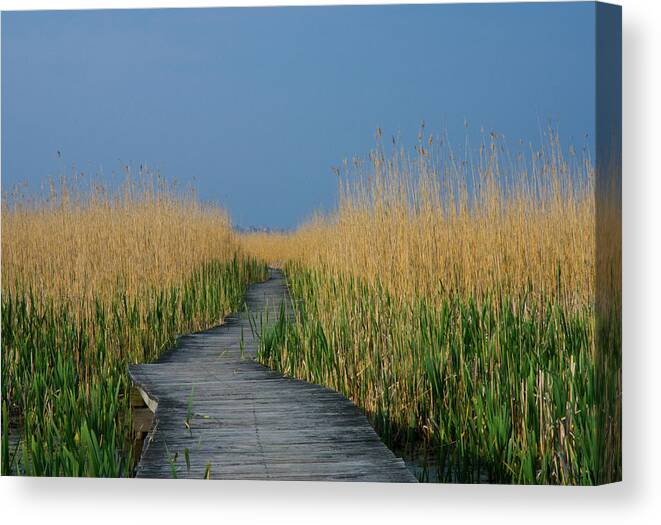 Plum Island Canvas Print featuring the photograph Plum Island by Paul Mangold