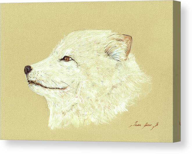 Arctic Fox Canvas Print featuring the painting Polar fox portrait by Juan Bosco