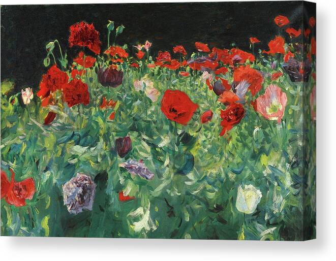 John Singer Sargent Canvas Print featuring the painting Poppies. A Study of Poppies for Carnation Lily Lily Rose by John Singer Sargent