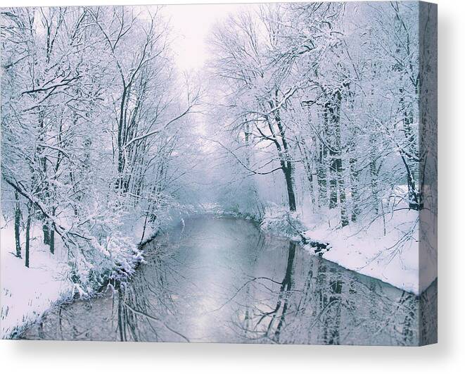 Winter Canvas Print featuring the photograph Powder Blue by Jessica Jenney