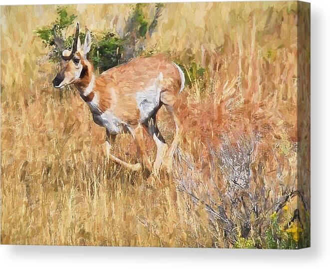 Yellowstone Canvas Print featuring the painting Pronghorn near Yellowstone by Mitchell R Grosky