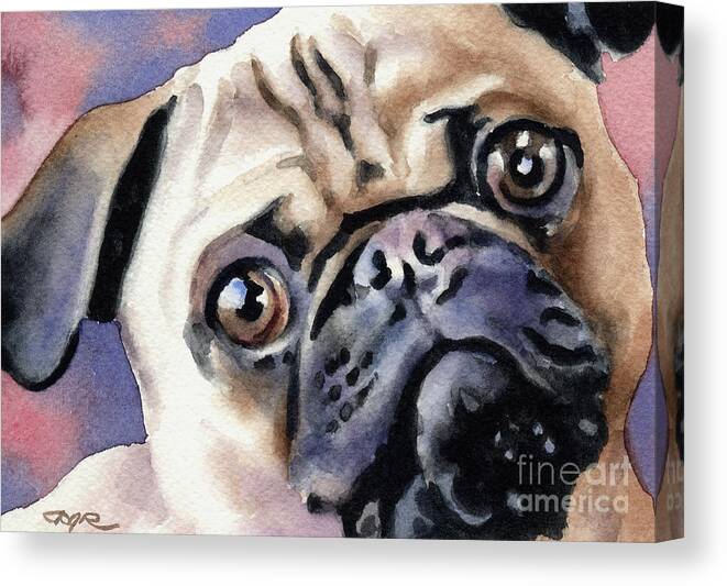 Pug Canvas Print featuring the painting Pug by David Rogers