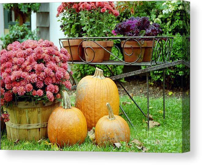 Linda Drown Canvas Print featuring the photograph Pumpkins and Flowers by Linda Drown