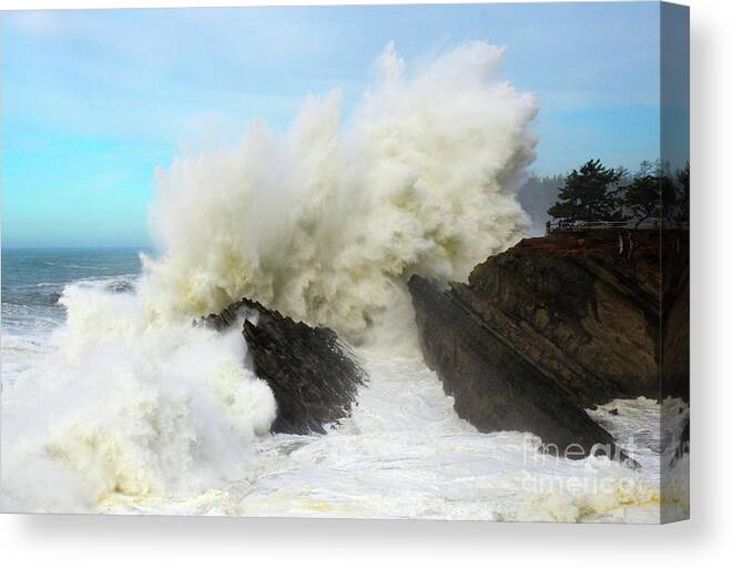 America The Beautiful Canvas Print featuring the photograph Pure Power by Bob Christopher