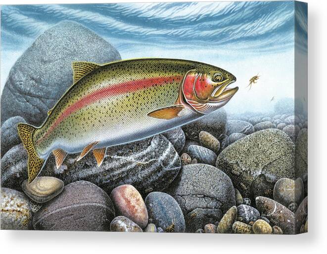 Rainbow Trout Canvas Print featuring the painting Rainbow Trout Stream by Jon Q Wright