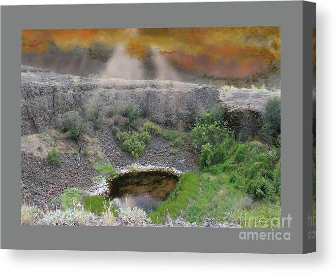 Field Canvas Print featuring the photograph Rare Light by Rich Collins