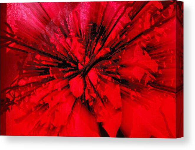 Abstract Canvas Print featuring the photograph Red and Black Explosion by Sue Capuano