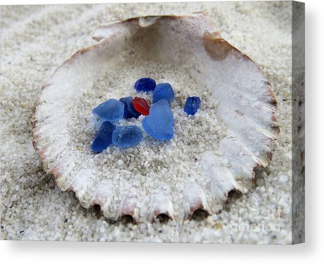 Red Sea Glass Canvas Print featuring the photograph Red and Blues by Janice Drew