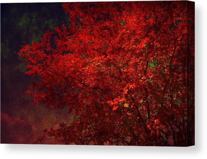 Autumn Canvas Print featuring the photograph Red autumn tree by Susanne Van Hulst