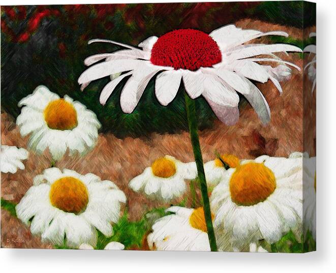 Ebsq Canvas Print featuring the photograph Red Eyed Daisy by Dee Flouton
