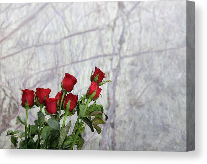 Minimal Canvas Print featuring the photograph Red Rose Flowers by Prakash Ghai