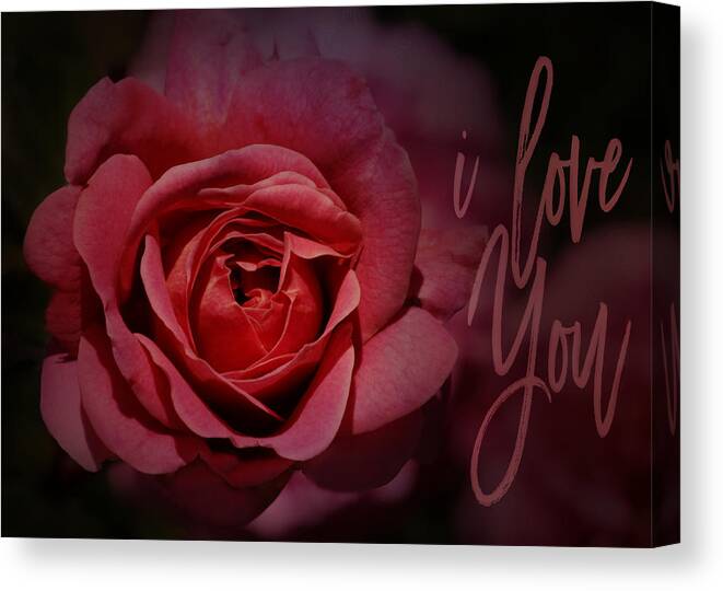 Red Rose Canvas Print featuring the photograph Red Rose - I Love You by Nikolyn McDonald