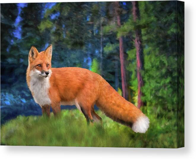  Canvas Print featuring the digital art Red Fox by Bill Johnson