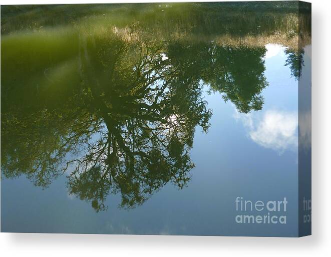 Reflection Canvas Print featuring the photograph Reflection by JoAnn SkyWatcher