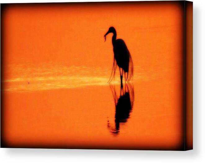 Shadows Canvas Print featuring the photograph Reflections of a Heron by Suzanne DeGeorge